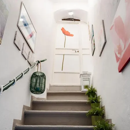 Le Viole Matte - Immerso Nel Con Vista Mare La Spezia